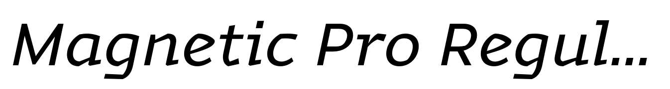 Magnetic Pro Regular Italic